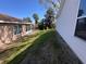 Sunny backyard view, showing screened in patio and palm trees at 24614 Stillridge Ct, Leesburg, FL 34748