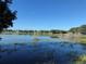 Relaxing view of a tranquil pond surrounded by lush greenery and community homes at 24614 Stillridge Ct, Leesburg, FL 34748