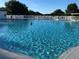 Enjoy a refreshing swim in this pristine pool on a clear, sunny day at 24614 Stillridge Ct, Leesburg, FL 34748