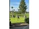 View of a yard with Sandhill Cranes from the home's screened-in porch at 3334 Pierluissi Path, The Villages, FL 32163