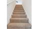 Carpeted stairs lead to the upper level with a bright, white wall and handrail at 8051 Saint James Way, Mount Dora, FL 32757