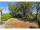 A grassy backyard with trees at 6200 Topsail Rd, Lady Lake, FL 32159