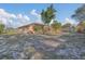 A view of the extensive backyard showing mature trees and a utility shed at 910 Rich Dr, Mount Dora, FL 32757