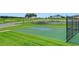 Well-maintained outdoor basketball court on a sunny day with a pristine green landscape at 981 Fiesta Key Cir, Lady Lake, FL 32159