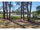 Scenic backyard with towering pines and serene lake views, offering a peaceful retreat at 17108 Pine Ridge Dr, Umatilla, FL 32784