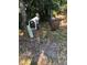 View of two mailboxes on posts in the yard of the property at 17108 Pine Ridge Dr, Umatilla, FL 32784
