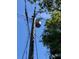 The utility pole is holding a gray transformer and has many electrical wires attached to it at 17108 Pine Ridge Dr, Umatilla, FL 32784
