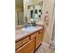 Clean and bright bathroom with updated vanity at 2569 Errol Ter, The Villages, FL 32162