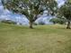 Picturesque view of the lush green golf course with mature trees and rolling hills, offering a serene and inviting landscape at 30454 Island Club Dr, Deer Island, FL 32778