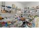 Well-organized pantry with wire shelving providing ample storage for groceries and household items at 6444 Mcknight Loop, The Villages, FL 34762