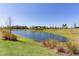 Scenic view of a tranquil pond with lush green grass and trees under a clear blue sky at 6444 Mcknight Loop, The Villages, FL 34762