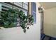 Close up of a front door with a window box and a classic wall lantern at 110 N Tremain St # 205, Mount Dora, FL 32757