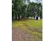 Scenic view of a large lot with mature trees, offering privacy at 11252 Country Haven Dr, Lakeland, FL 33809