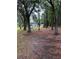 Large lot with mature trees and a home visible in the distance at 11252 Country Haven Dr, Lakeland, FL 33809