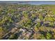 Expansive aerial view of a lush community with mature trees and glimpses of a serene lake in the background at 219 N Rossiter St, Mount Dora, FL 32757