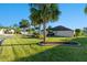 Green yard featuring lush green grass and mature palm trees at 2428 Maverick Way, The Villages, FL 32162