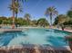 Large community pool with lounge chairs, palm trees, and well-maintained landscaping at 27121 Greenfly Orchid Ln, Leesburg, FL 34748