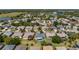 Beautiful aerial view of the community, surrounded by mature trees, and including a nearby lake at 3728 Mulberry Grove Loop, Leesburg, FL 34748
