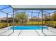 Screened-in pool with sunny views of backyard and mature trees at 3728 Mulberry Grove Loop, Leesburg, FL 34748