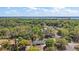 A high-angle view of the residence surrounded by lush greenery, with a lake visible in the background at 3860 Branch Ave, Mount Dora, FL 32757