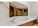 Bright bathroom with white tiled jacuzzi, wood cabinets, and backyard views at 39636 Carolina Ave, Lady Lake, FL 32159