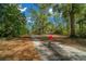 Leaf-covered driveway leading to a serene property surrounded by lush trees and foliage on a sunny day at 39636 Carolina Ave, Lady Lake, FL 32159