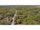 Aerial view of a lot surrounded by mature trees, in a serene residential area at 801 Kilgore St, Wildwood, FL 34785