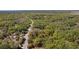 Aerial view of a lot outlined in red, bordered by lush greenery in a serene, wooded neighborhood at 801 Kilgore St, Wildwood, FL 34785