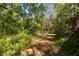 The property's lush grounds feature a secluded, wooded lot perfect for nature enthusiasts at 801 Kilgore St, Wildwood, FL 34785