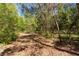 This expansive property's landscape with mature trees offers privacy and serenity at 801 Kilgore St, Wildwood, FL 34785