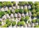 Aerial view of a home in a residential community with mature trees, outlined in red at 3603 Eversholt St, Clermont, FL 34711