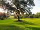 Scenic view of the golf course from the home's yard, featuring mature trees and green grass at 3603 Eversholt St, Clermont, FL 34711