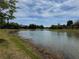 Scenic view of the serene lake surrounded by lush greenery and blue sky at 8165 Bridgeport Bay Cir, Mount Dora, FL 32757