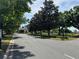 Scenic street view with mature trees, landscaping, and street lamps in the Lakes of Mount Dora community at 8165 Bridgeport Bay Cir, Mount Dora, FL 32757