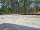 Awaiting landscaping backyard surrounded by tall pines and native growth at 40327 Royal Trails Rd, Eustis, FL 32736