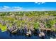 Aerial view of the lake front property featuring lush tree canopy, private docks, and lake access at 10417 Lake Louisa Rd, Clermont, FL 34711