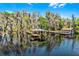 Picturesque lake with boat docks, calm waters, and lush trees with Spanish moss in the background at 10417 Lake Louisa Rd, Clermont, FL 34711