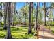 Scenery shot of a boardwalk winding through a wooded yard, enhanced by mature trees and lush greenery at 10417 Lake Louisa Rd, Clermont, FL 34711