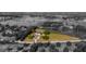 Expansive estate lot featuring a luxury home with an extended circular driveway and mature landscaping at 10651 Arrowtree Blvd, Clermont, FL 34715