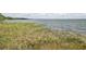Scenic waterfront view of the water's edge with aquatic plants in the foreground at 202 N Palm Ave, Howey In The Hills, FL 34737