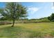 Expansive backyard featuring lush green grass and mature trees, offering a serene and private outdoor space at 25818 Belle Alliance, Leesburg, FL 34748