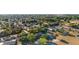Wide-angle aerial view showcases a community with mature trees and charming homes at 36337 Terra Ct, Grand Island, FL 32735