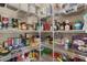 Walk-in pantry with organized shelving, offering ample storage for food and household items at 3641 Arlington Ridge Blvd, Leesburg, FL 34748