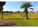 Scenic community view featuring lush green spaces, a tranquil pond, and palm trees under a bright sky at 9948 Se 175Th Pl, Summerfield, FL 34491