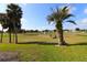 Beautiful community featuring a golf course, lake, and palm trees, creating a serene and inviting environment at 9948 Se 175Th Pl, Summerfield, FL 34491