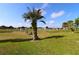 Picturesque community view showcasing a golf course, serene pond, and palm trees under a sunny sky at 9948 Se 175Th Pl, Summerfield, FL 34491
