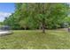 Spacious, green backyard with mature trees and perimeter fencing, ideal for outdoor activities and relaxation at 11497 Sw 82Nd Court Rd, Ocala, FL 34481