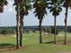 Scenic golf course view with lush greenery and tall palm trees at 12511 Se 91St Terrace Rd, Summerfield, FL 34491