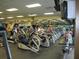 Well-equipped gym with modern exercise machines and mirrored walls at 12511 Se 91St Terrace Rd, Summerfield, FL 34491