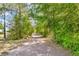 Tranquil path surrounded by lush greenery, inviting exploration of the neighborhood at 12511 Se 91St Terrace Rd, Summerfield, FL 34491